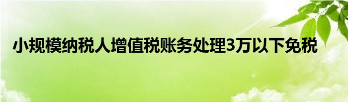 小规模纳税人增值税账务处理3万以下免税