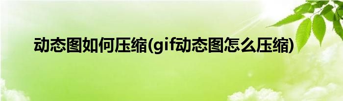 动态图如何压缩(gif动态图怎么压缩)