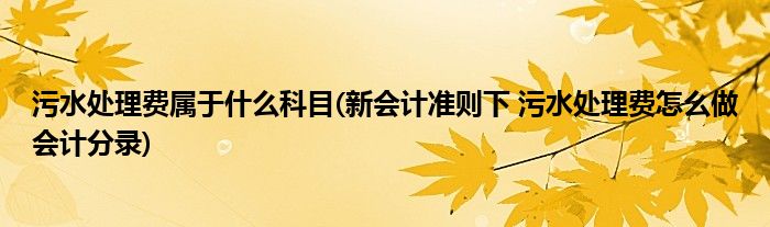 污水处理费属于什么科目(新会计准则下 污水处理费怎么做会计分录)