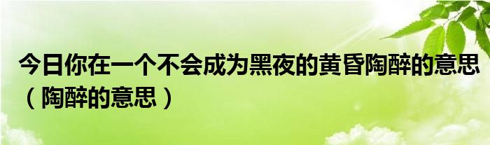 今日你在一个不会成为黑夜的黄昏陶醉的意思（陶醉的意思）