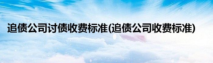 追债公司讨债收费标准(追债公司收费标准)