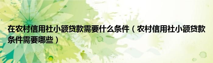 在农村信用社小额贷款需要什么条件（农村信用社小额贷款条件需要哪些）