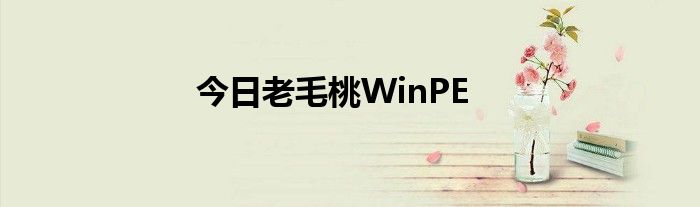 今日老毛桃WinPE