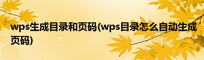 wps生成目录和页码(wps目录怎么自动生成页码)