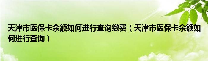 天津市医保卡余额如何进行查询缴费（天津市医保卡余额如何进行查询）