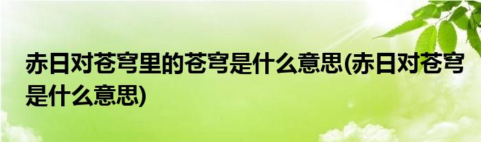 赤日对苍穹里的苍穹是什么意思(赤日对苍穹是什么意思)