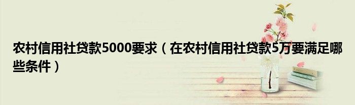 农村信用社贷款5000要求（在农村信用社贷款5万要满足哪些条件）