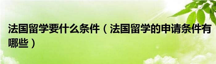 法国留学要什么条件（法国留学的申请条件有哪些）