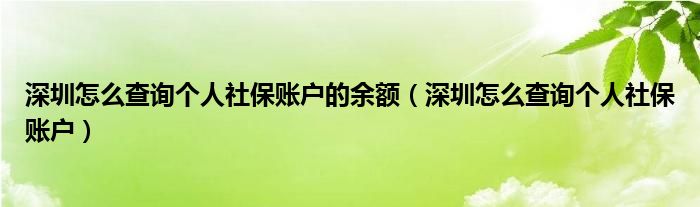 深圳怎么查询个人社保账户的余额（深圳怎么查询个人社保账户）