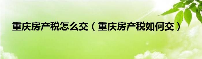 重庆房产税怎么交（重庆房产税如何交）