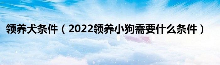 领养犬条件（2022领养小狗需要什么条件）