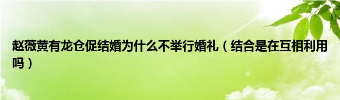 赵薇黄有龙仓促结婚为什么不举行婚礼（结合是在互相利用吗）