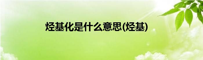 烃基化是什么意思(烃基)