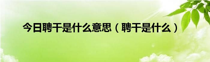 今日聘干是什么意思（聘干是什么）