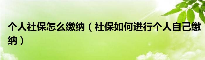 个人社保怎么缴纳（社保如何进行个人自己缴纳）