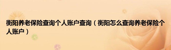 衡阳养老保险查询个人账户查询（衡阳怎么查询养老保险个人账户）