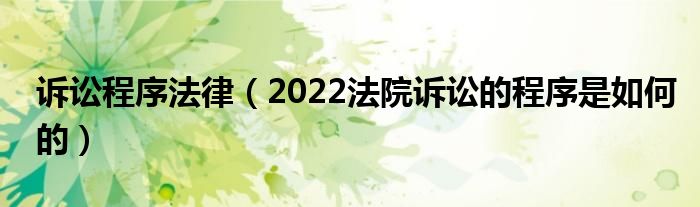 诉讼程序法律（2022法院诉讼的程序是如何的）