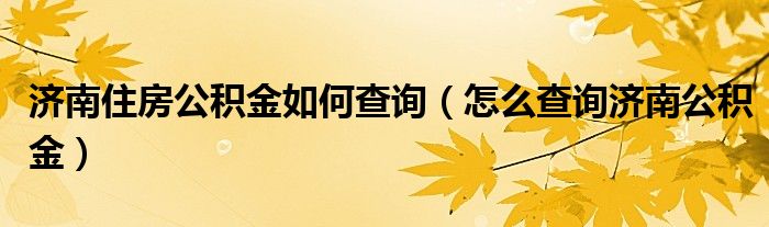 济南住房公积金如何查询（怎么查询济南公积金）