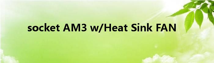 socket AM3 w/Heat Sink FAN