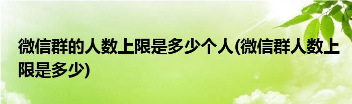 微信群的人数上限是多少个人(微信群人数上限是多少)