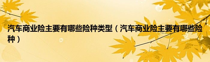 汽车商业险主要有哪些险种类型（汽车商业险主要有哪些险种）