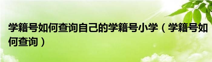 学籍号如何查询自己的学籍号小学（学籍号如何查询）