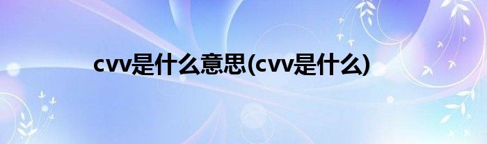 cvv是什么意思(cvv是什么)