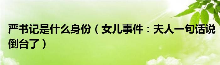 严书记是什么身份（女儿事件：夫人一句话说倒台了）