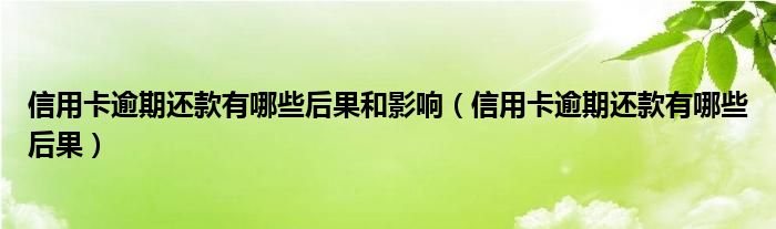 信用卡逾期还款有哪些后果和影响（信用卡逾期还款有哪些后果）