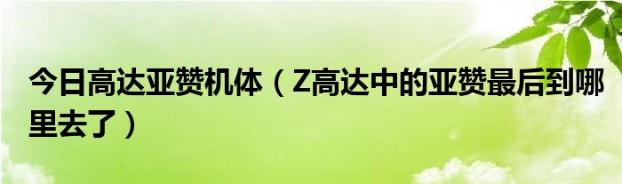 今日高达亚赞机体（Z高达中的亚赞最后到哪里去了）