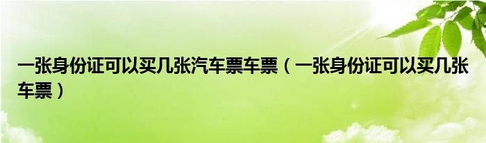 一张身份证可以买几张汽车票车票（一张身份证可以买几张车票）