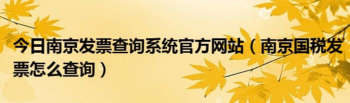 今日南京发票查询系统官方网站（南京国税发票怎么查询）