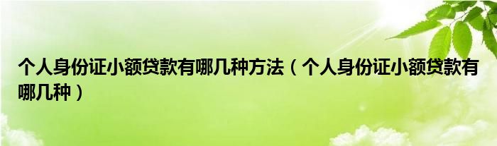 个人身份证小额贷款有哪几种方法（个人身份证小额贷款有哪几种）