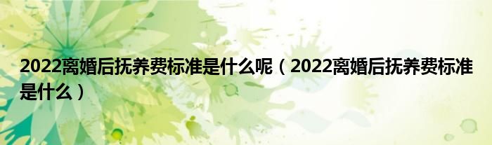 2022离婚后抚养费标准是什么呢（2022离婚后抚养费标准是什么）