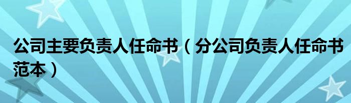 公司主要负责人任命书（分公司负责人任命书范本）