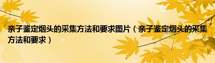 亲子鉴定烟头的采集方法和要求图片（亲子鉴定烟头的采集方法和要求）