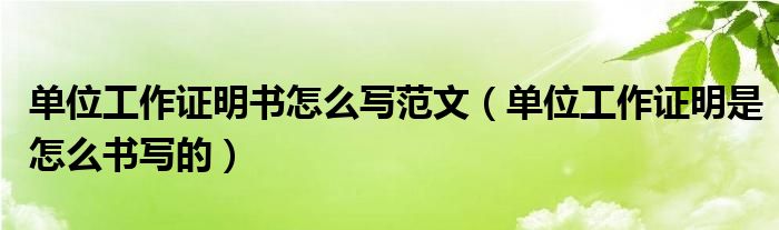 单位工作证明书怎么写范文（单位工作证明是怎么书写的）