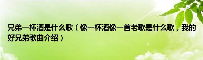 兄弟一杯酒是什么歌（像一杯酒像一首老歌是什么歌，我的好兄弟歌曲介绍）