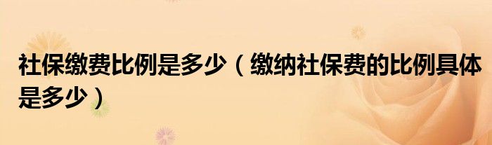 社保缴费比例是多少（缴纳社保费的比例具体是多少）