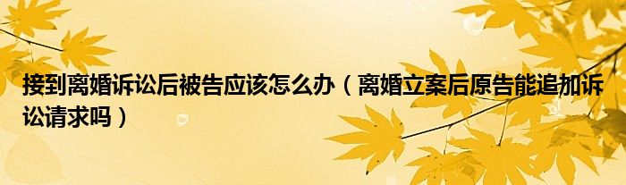 接到离婚诉讼后被告应该怎么办（离婚立案后原告能追加诉讼请求吗）