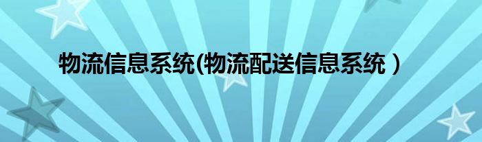 物流信息系统(物流配送信息系统）