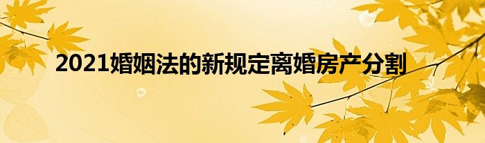 2021婚姻法的新规定离婚房产分割