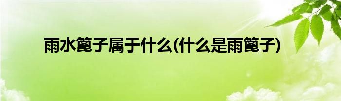 雨水篦子属于什么(什么是雨篦子)