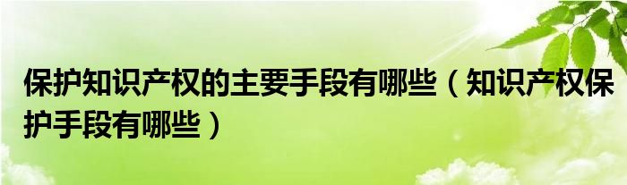 保护知识产权的主要手段有哪些（知识产权保护手段有哪些）