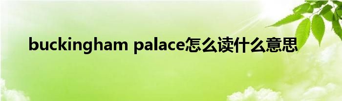 buckingham palace怎么读什么意思