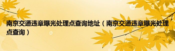 南京交通违章曝光处理点查询地址（南京交通违章曝光处理点查询）