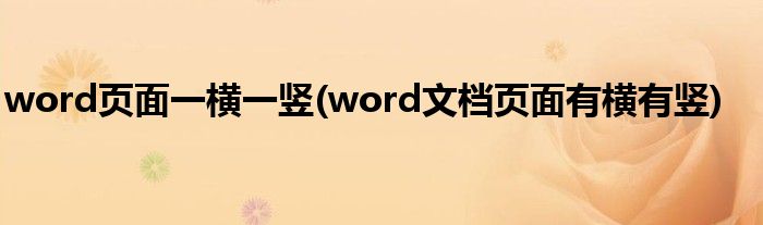 word页面一横一竖(word文档页面有横有竖)