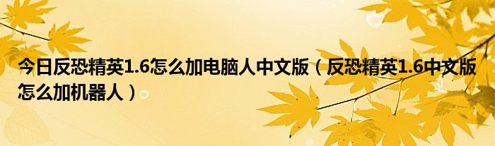 今日反恐精英1.6怎么加电脑人中文版（反恐精英1.6中文版怎么加机器人）