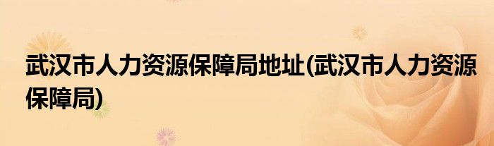 武汉市人力资源保障局地址(武汉市人力资源保障局)