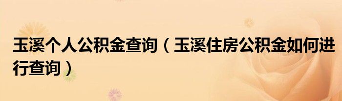 玉溪个人公积金查询（玉溪住房公积金如何进行查询）